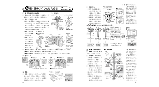 新中学問題集 理科