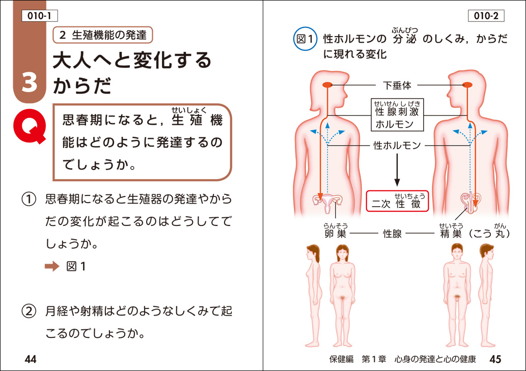 Dtp デザイン 事業案内