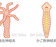 図版21_on