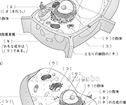 図版23_on