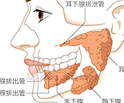 図版24_on