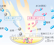 図版3_on