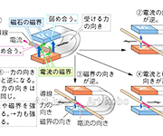 図版14_on