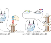 図版27_on