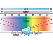 図版3