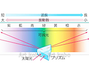 図版3_on