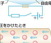 図版6