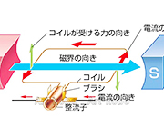 図版7_on