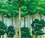 図版6