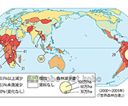 図版13