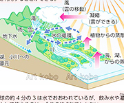 図版3_on