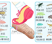 図版4_on