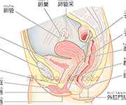 図版5_on