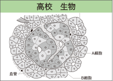 高校理科 生物