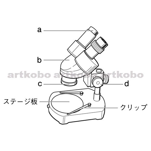 Web教材イラスト図版工房 R C2m 双眼実体顕微鏡 1