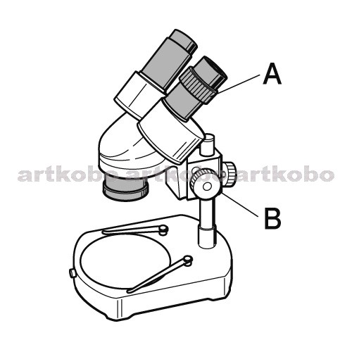 Web教材イラスト図版工房 R C2m 双眼実体顕微鏡 3