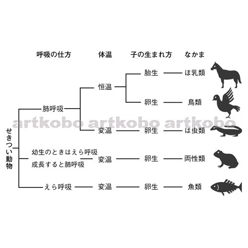 Web教材イラスト図版工房 R C2m セキツイ動物の分類 1