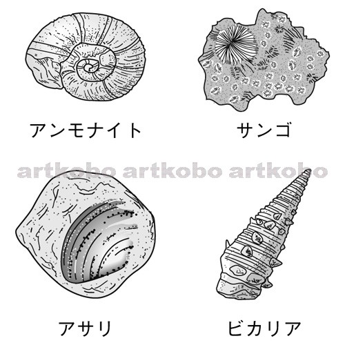 Web教材イラスト図版工房 R C2m 示準化石と示相化石