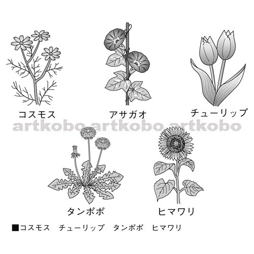 Web教材イラスト図版工房 R S5m その他の植物 16
